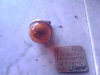 /album/galleria-fotografica/fiat-frecce-lato-per-850-600-jpg1/